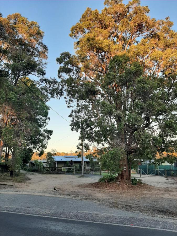 Coola Studio Mallacoota Bagian luar foto